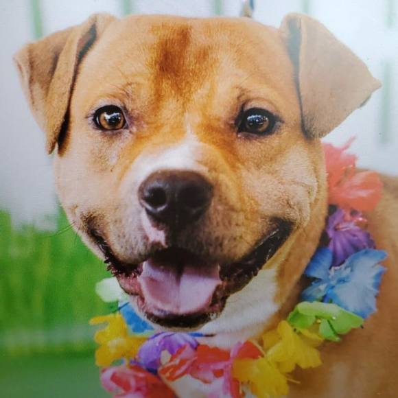 Meet your Posher, Marisol - Picture 1 of 1